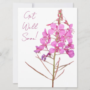Get well soon love pretty pink flowers greetings holiday card