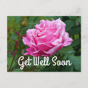 Get Well Soon Memorial Day Rose #2 Postcard