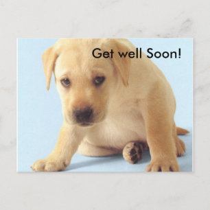 Get well Soon! Postcard