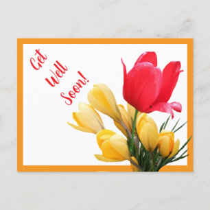 Get well soon pretty pink red tulip yellow crocus postcard