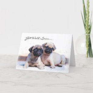 Get Well Soon Pug puppies greeting card