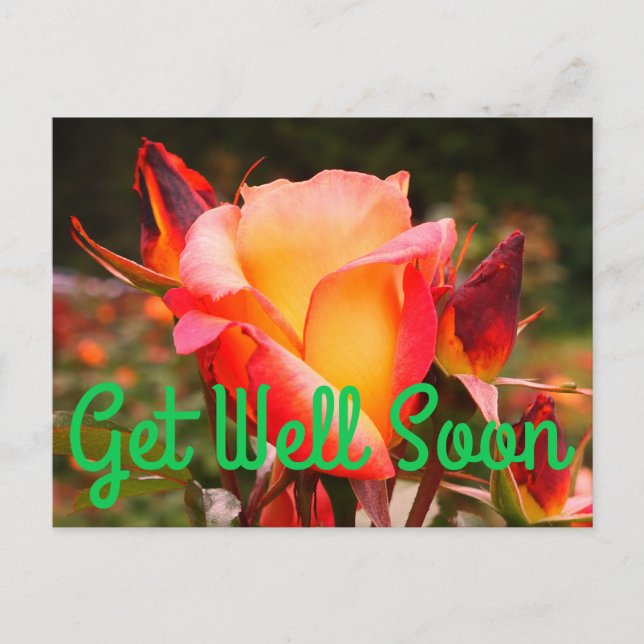 Get Well Soon Rainbow Sorbet Rose #1 Postcard (Front)