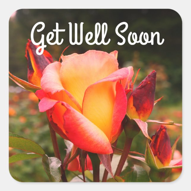 Get Well Soon Rainbow Sorbet Rose #1 Stickers (Front)