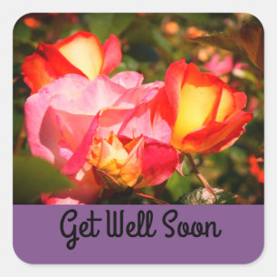 Get Well Soon Rainbow Sorbet Rose #2 Stickers