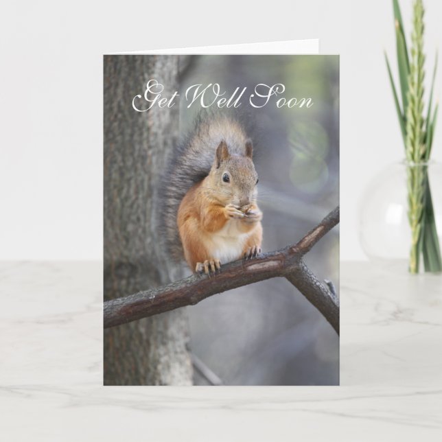 Get Well Soon Red Squirrel Greeting Card (Front)