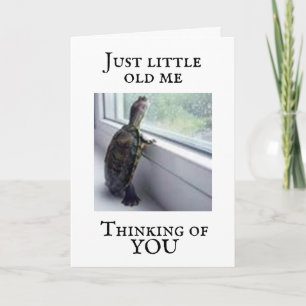 GET "WELL" SOON SAYS TURTLE CARD