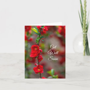 Get Well Soon Scarlet Line Card