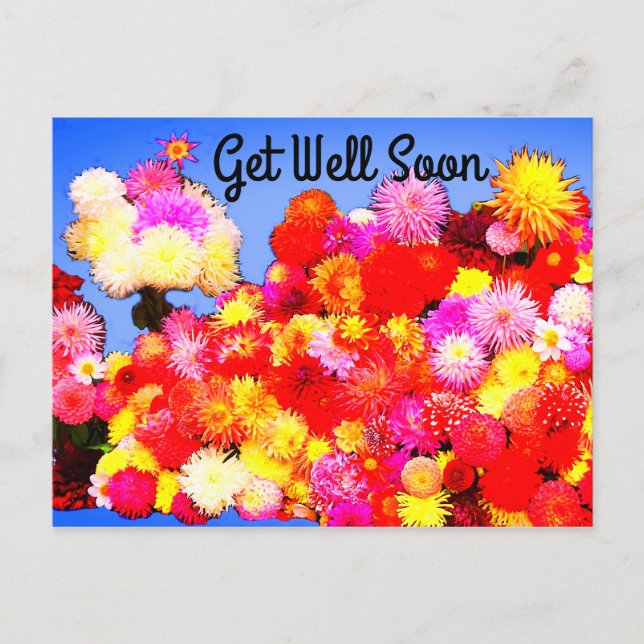 Get Well Soon Various Dahlias #2-2 Postcard (Front)