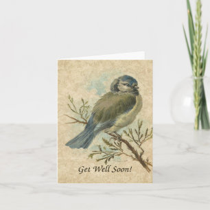 Get Well Soon, Vintage Bluetit Bird Card