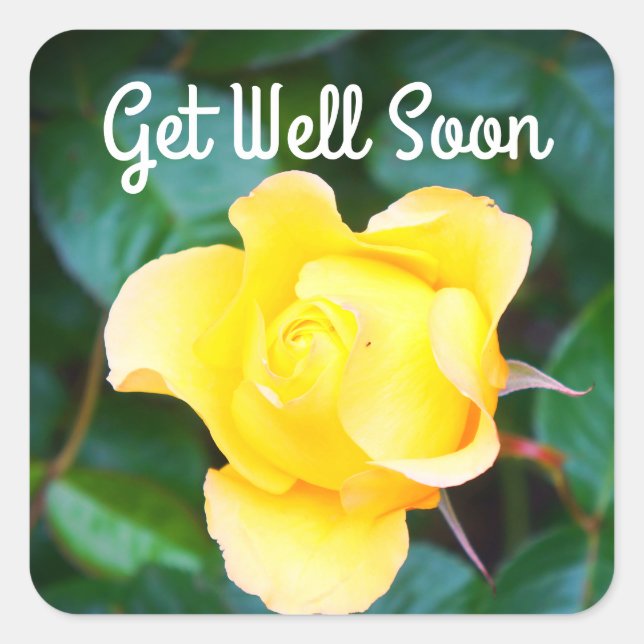Get Well Soon Walking on Sunshine Rose #1 Stickers (Front)