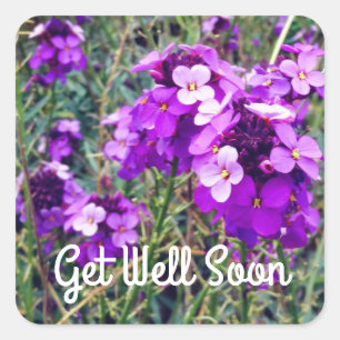Get Well Soon Wallflower Bowles Mauve #1 Stickers