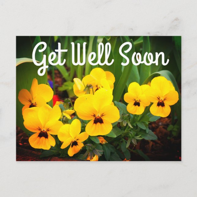 Get Well Soon Yellow Pansy #1 Postcard (Front)