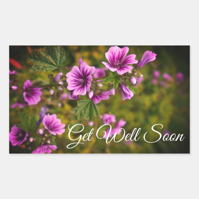 Get Well Soon Zebra Hollyhock #2 Stickers (Front)