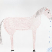 Get Well - Sorry ... Horse Spittle Card