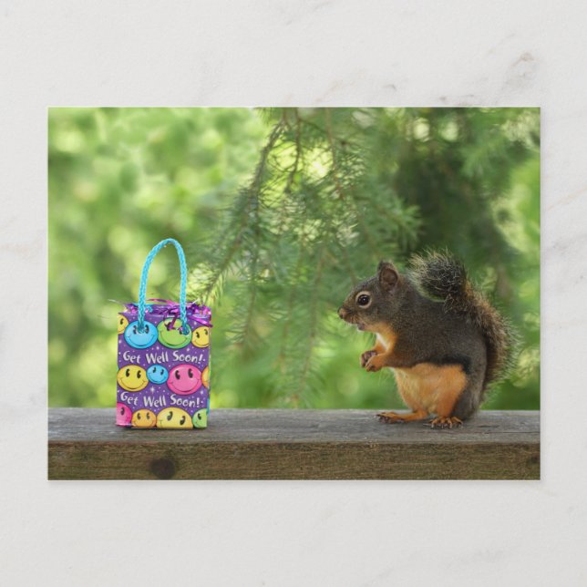 Get Well Squirrel Postcard (Front)