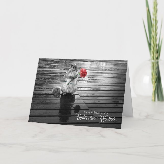 Get Well Squirrel with Carnation Black and White Card (Front)