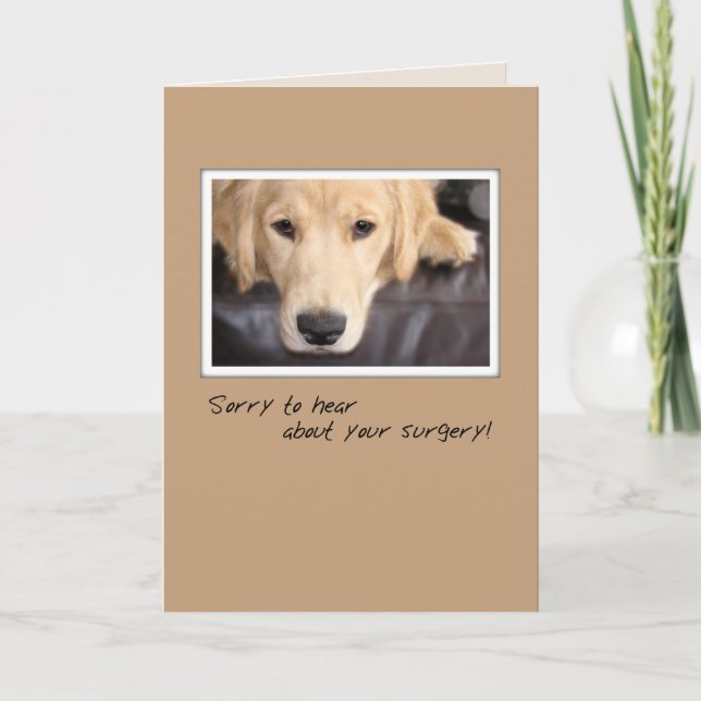 Get Well Surgery Dog, Golden Retriever Card (Front)