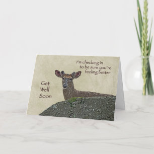 Get Well Whitetail Deer Buck in Velvet Greeting Card
