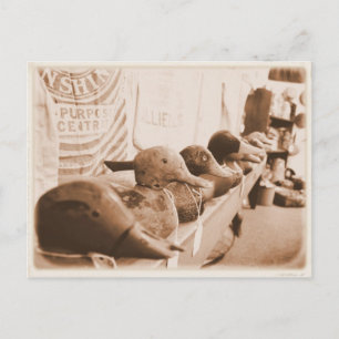 Get Your Ducks in a Row - Postcard