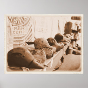 Get Your Ducks in a Row Poster