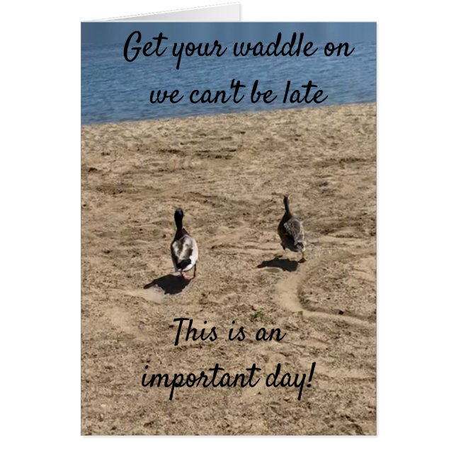 ***GET YOUR WADDLE ON*** DUCKS SAY "HAPPY BIRTHDAY (Front)