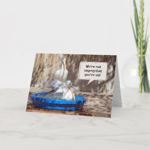 Gettin Old Birthday Pelicans Card