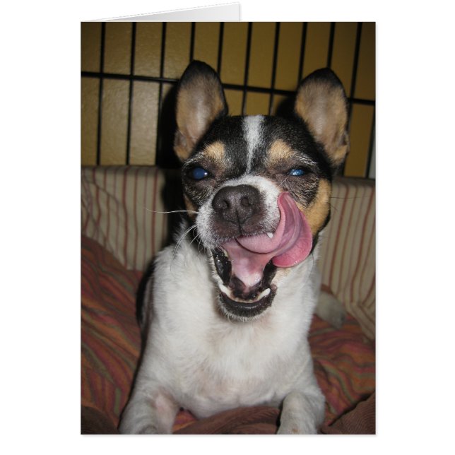 Getting Better Yet? (Front)