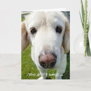 getting old birthday humour-dog nose card