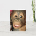 Getting Older Scary Birthday Candles Card<br><div class="desc">Send a cute happy birthday card that has a touch of humor,  making fun of the number of candles on someone's cake. The design features a cute orangutan with a look of surprise.</div>