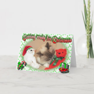 Getting ready for Christmas! Holiday Card
