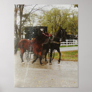 Getting the new horse home the Amish way Poster