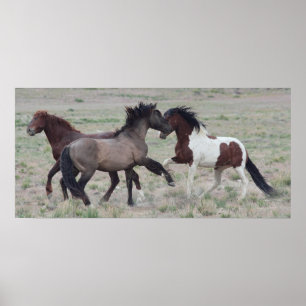 Getting Together Poster