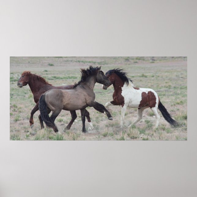 Getting Together Poster (Front)