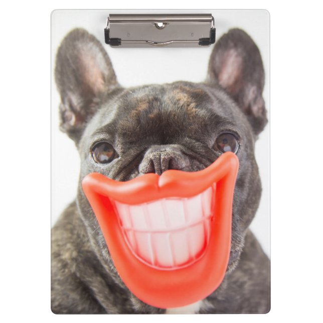Getty Images | A Smiling Dog Clipboard (Front)