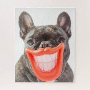 Getty Images   A Smiling Dog Jigsaw Puzzle
