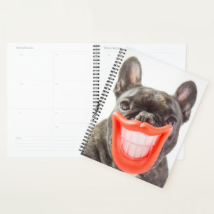 Getty Images   A Smiling Dog Planner