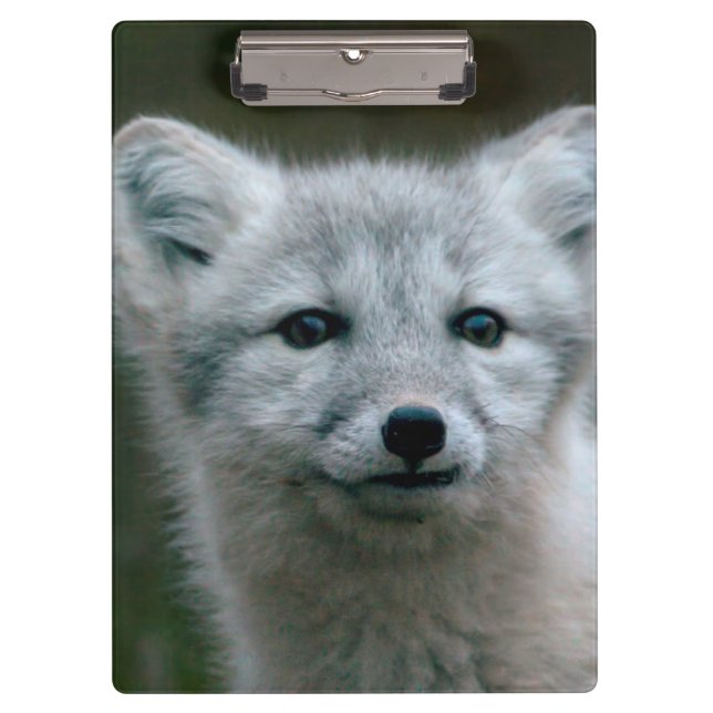 Getty Images | Arctic Fox Kit Clipboard (Front)