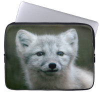 Getty Images | Arctic Fox Kit