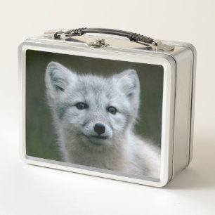 Getty Images Arctic Fox Kit Metal Lunch Box