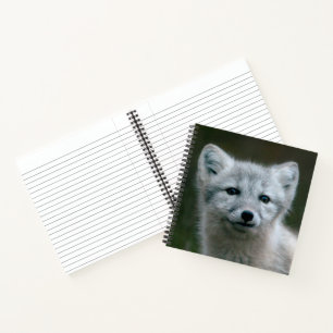 Getty Images   Arctic Fox Kit Notebook