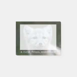 Getty Images Arctic Fox Kit Post-it Notes