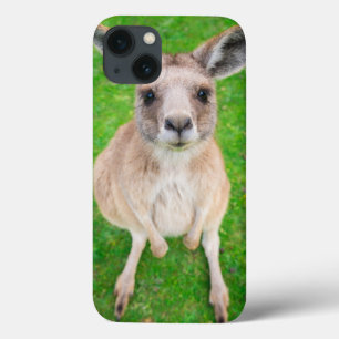 Getty Images Baby Kangaroo iPhone 13 Case