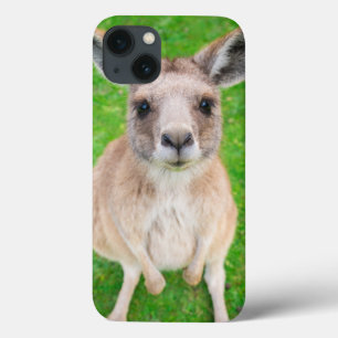 Getty Images   Baby Kangaroo iPhone 13 Case