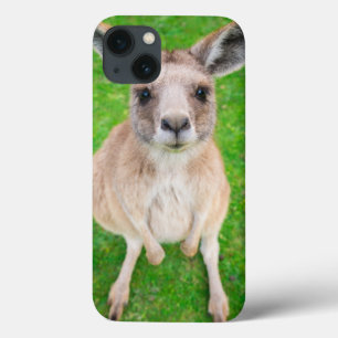 Getty Images   Baby Kangaroo iPhone 13 Case