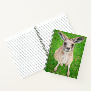 Getty Images Baby Kangaroo Notebook
