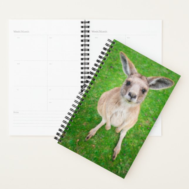 Getty Images | Baby Kangaroo Planner (Display)