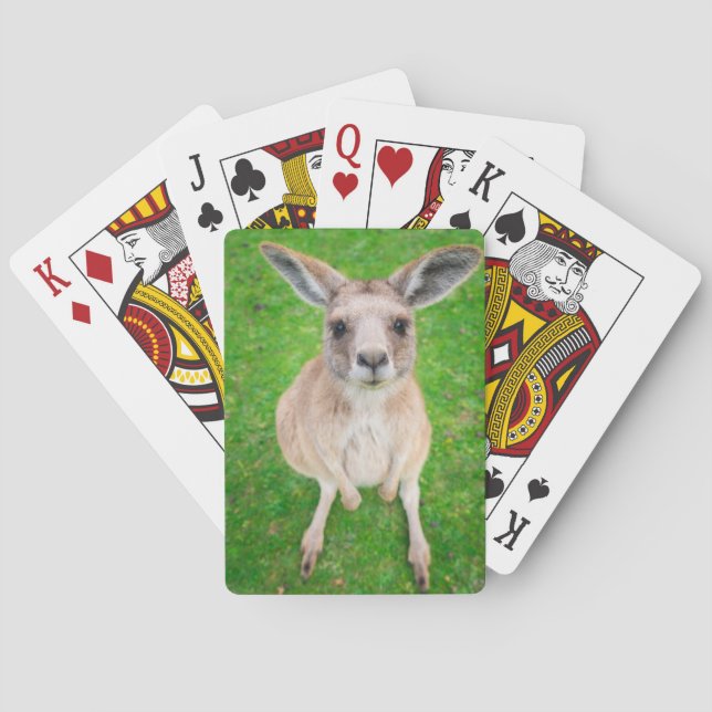 Getty Images | Baby Kangaroo Playing Cards (Back)