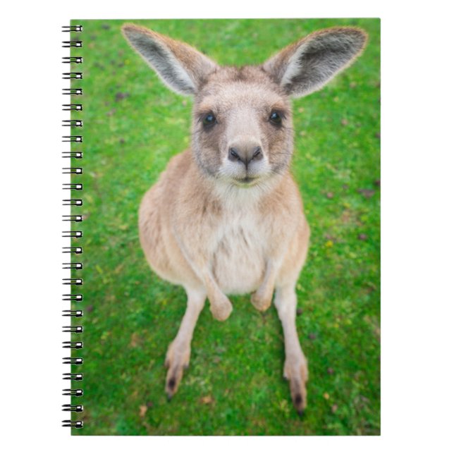 Getty Images | Baby Kangaroo Spiral Notebook (Front)