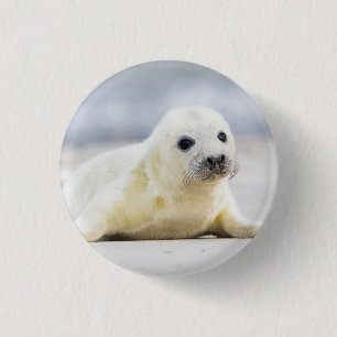 Getty Images   Baby Seal 3 Cm Round Badge