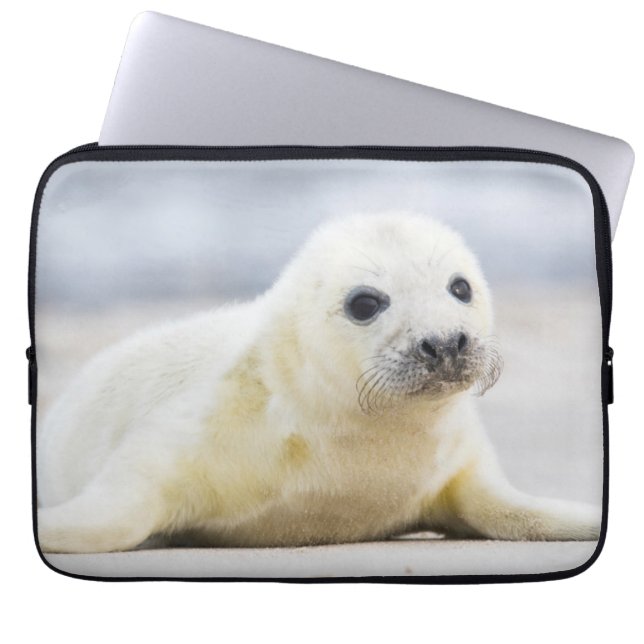 Getty Images | Baby Seal Laptop Sleeve (Front)
